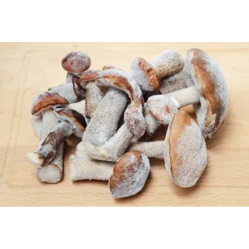 Frozen Mushrum (27)-1846419-47061.webp